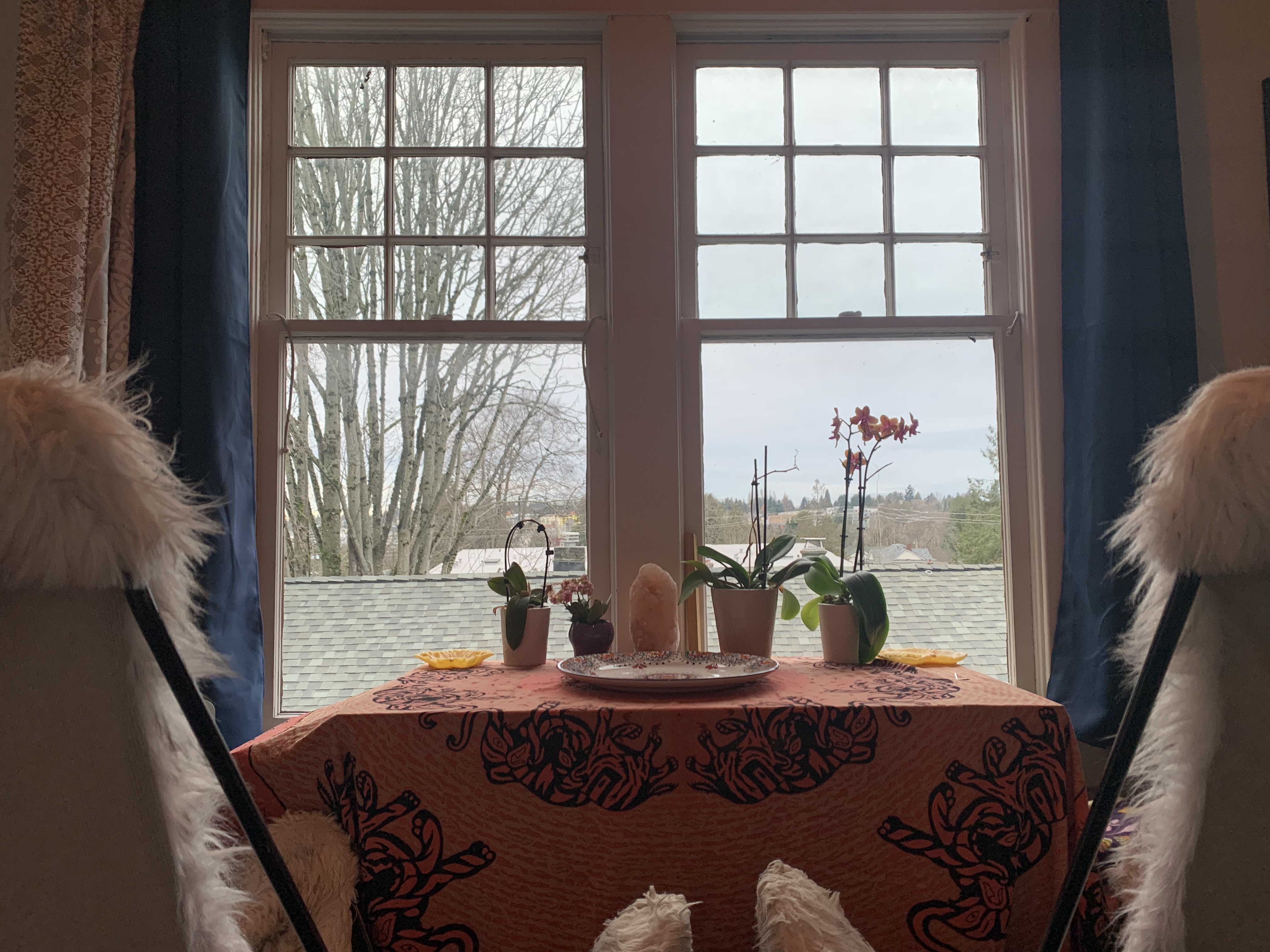 Cuddle space image 3